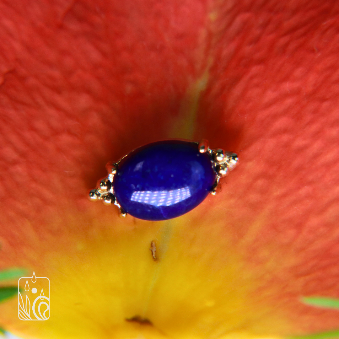 NINE BODY PIERCING BLOG: Anatometal Super Teardrop Eyelet!!! アナトメタル スーパー  ティアードロップ アイレット